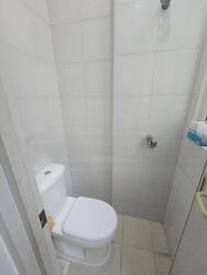 Eden View (D19), Apartment #457900291